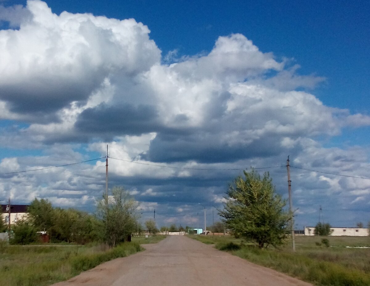 Фото автора.
