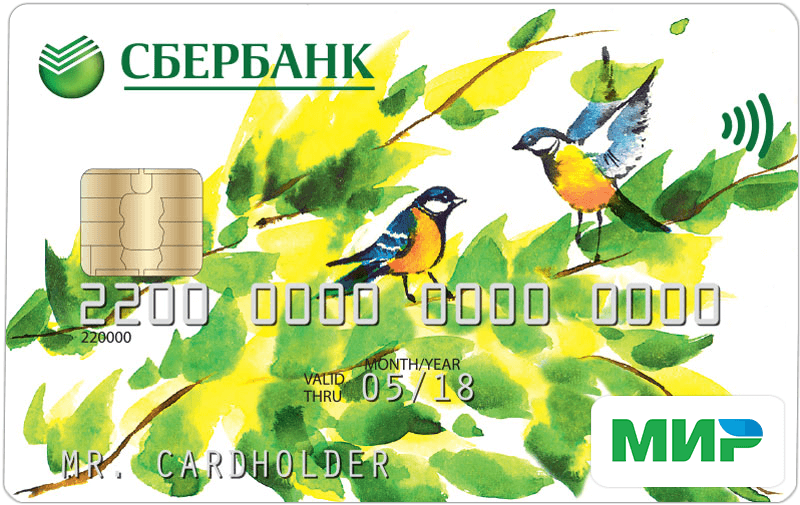 Как выглядит пенсионная карта