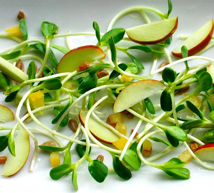 фото Яндекса