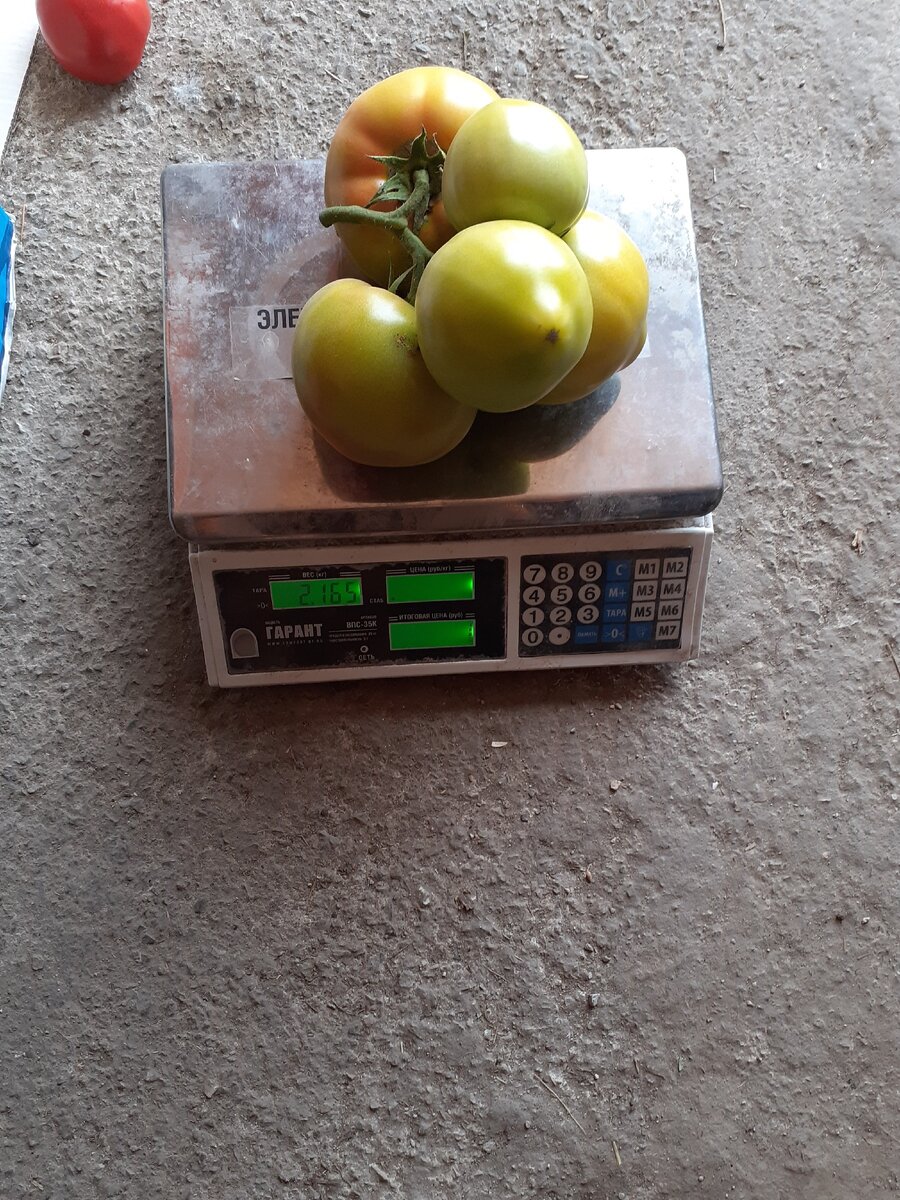 Небольшой рекорд этого сезона