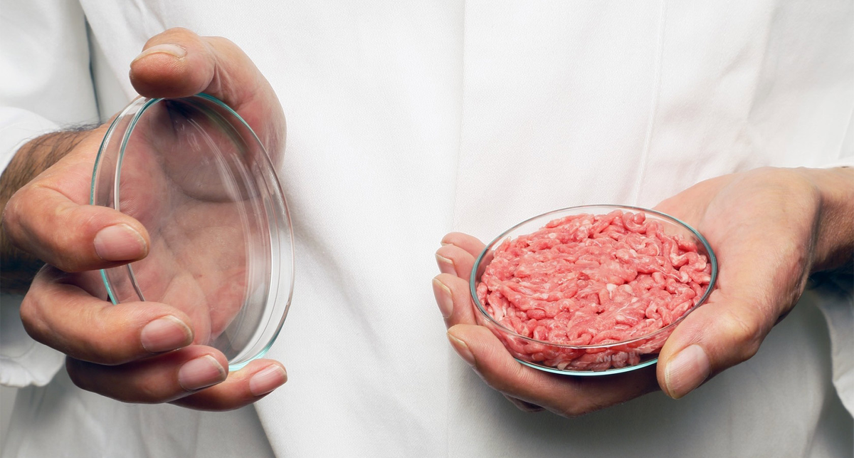 Фото взято для иллюстрации Источник vitkvv2017.livejournal.com