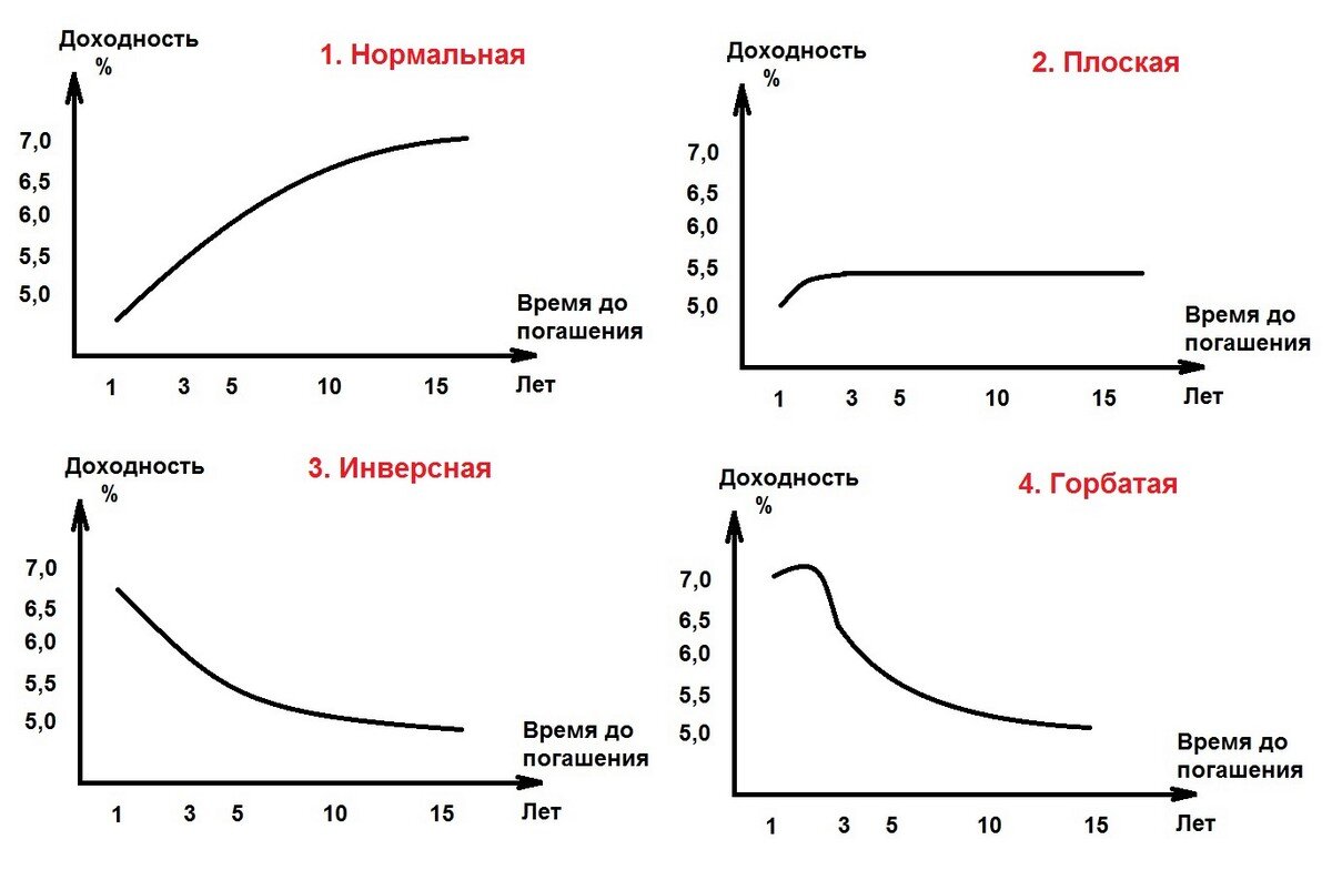 Виды кривой доходности