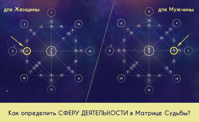 сфера деятельности в матрице