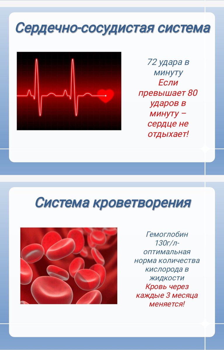 Из презентации