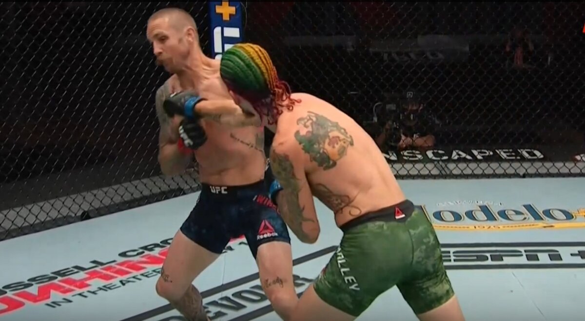 Нокаут Шона О'Мэлли