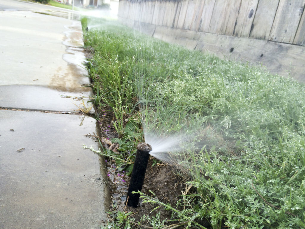 Неправильный полив 