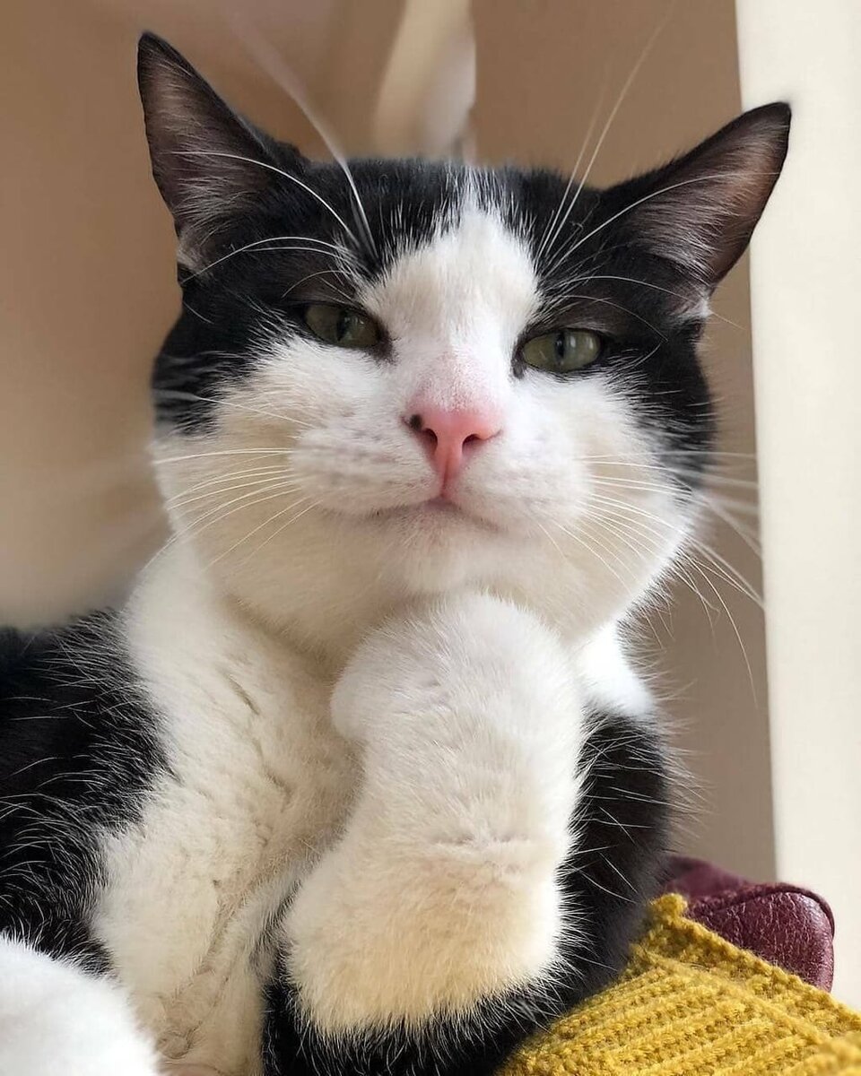 Тест: вы хитрый, умный или просто находчивый?Жизнь учит каждого из нас действовать особенным образом. Кто-то наступает на одни и те же грабли, кто-то их разумно обходит, кто-то умудряется использовать их для своей пользы, а кто-то и вовсе эти самые грабли раскладывает.