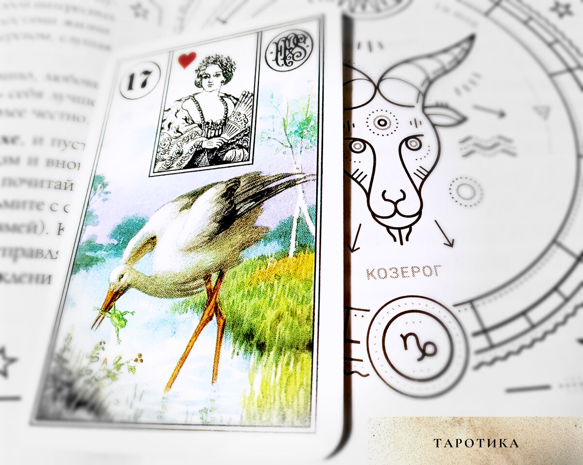 Всегда оригинальные фото для любимых читателей!