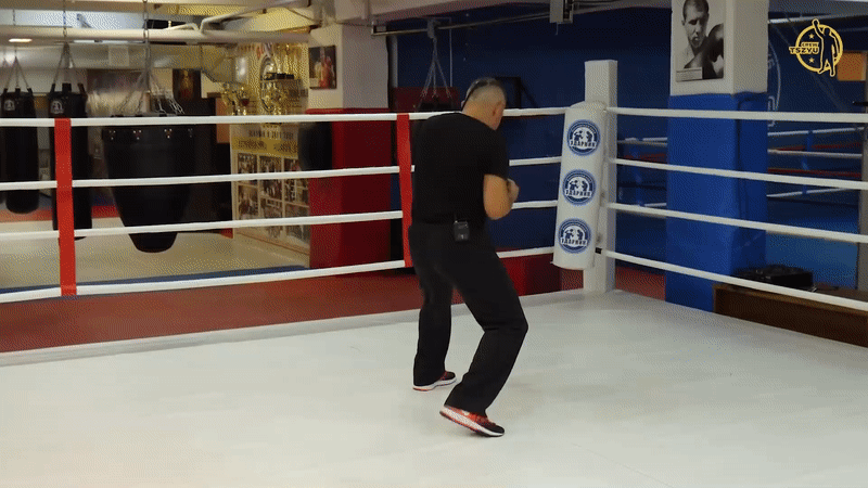 Бой с тенью. Костя Цзю.