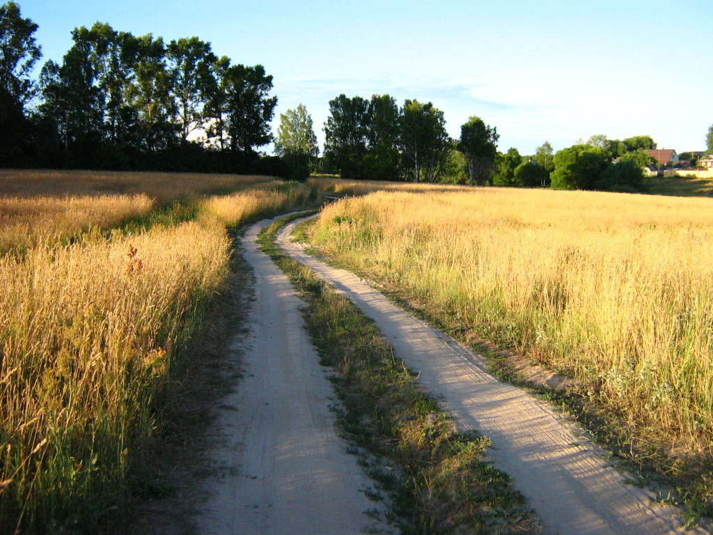 Дорога в деревне фото