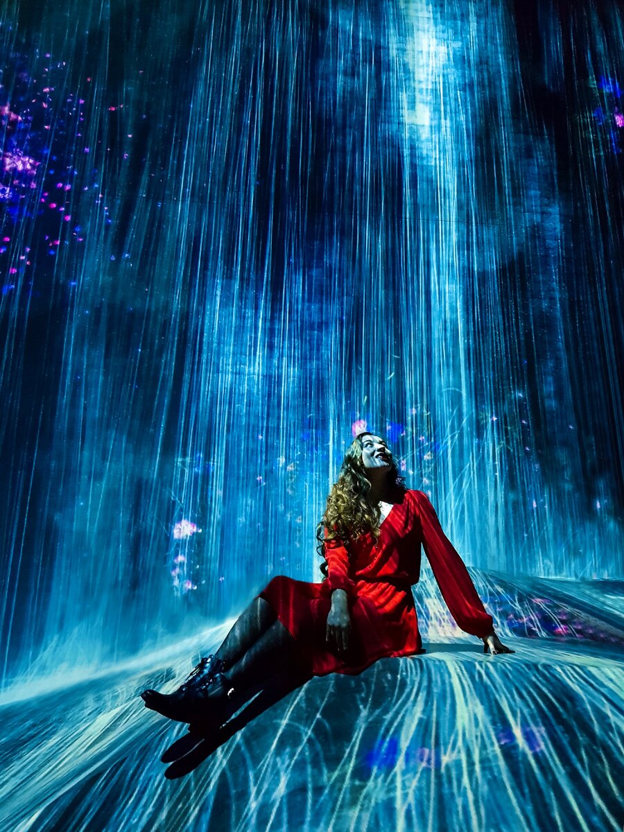 Музей цифрового искусства TeamLab borderless