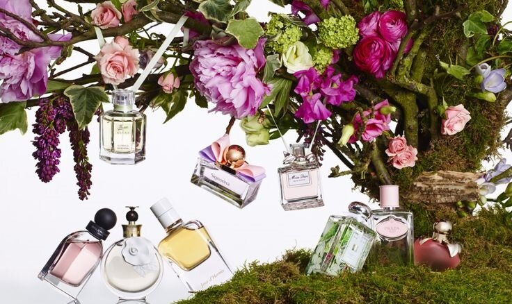  Есть ароматы, способные вызвать все эти картины в вашем воображении. 