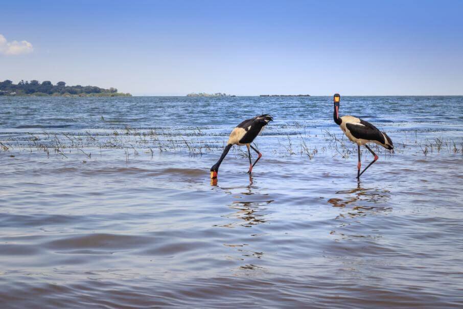 Фото: iStock