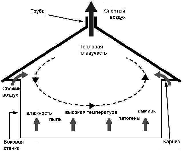 Как сделать вентиляцию в сарае для животных: требования и нюансы обустройства вентиляции