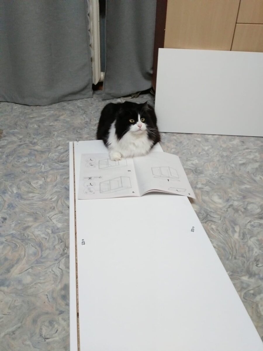 Смешные картинки и не только | Мастерская интроверта | Дзен