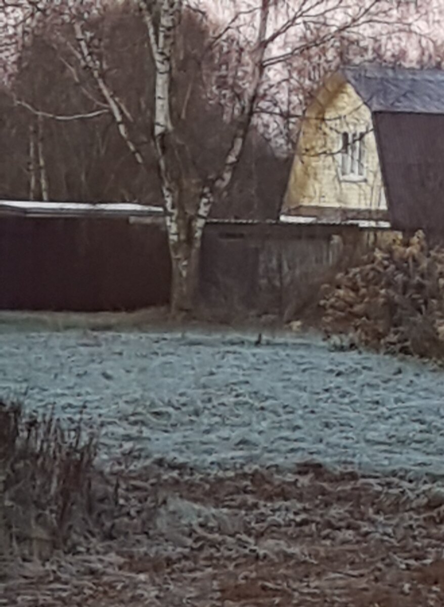 Ночью были заморозки