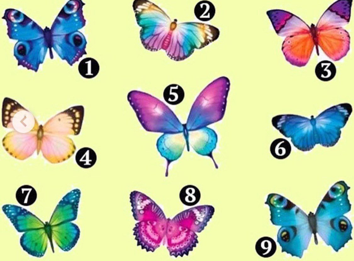 тест выбери бабочку. тест психологический по картинкам бабочка.