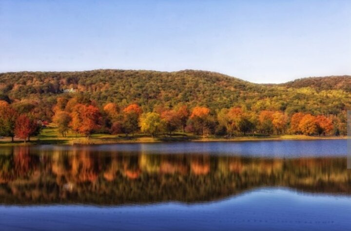 Как видит мир человек