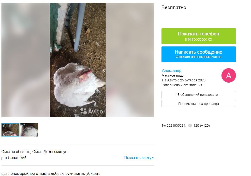 фото с авито