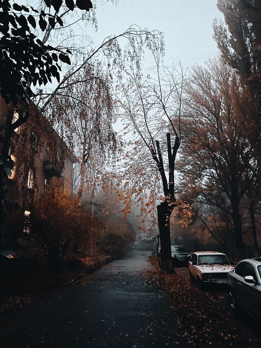 #гидрометцентр #киев #осенний киев #киев осенью #осень в киеве 