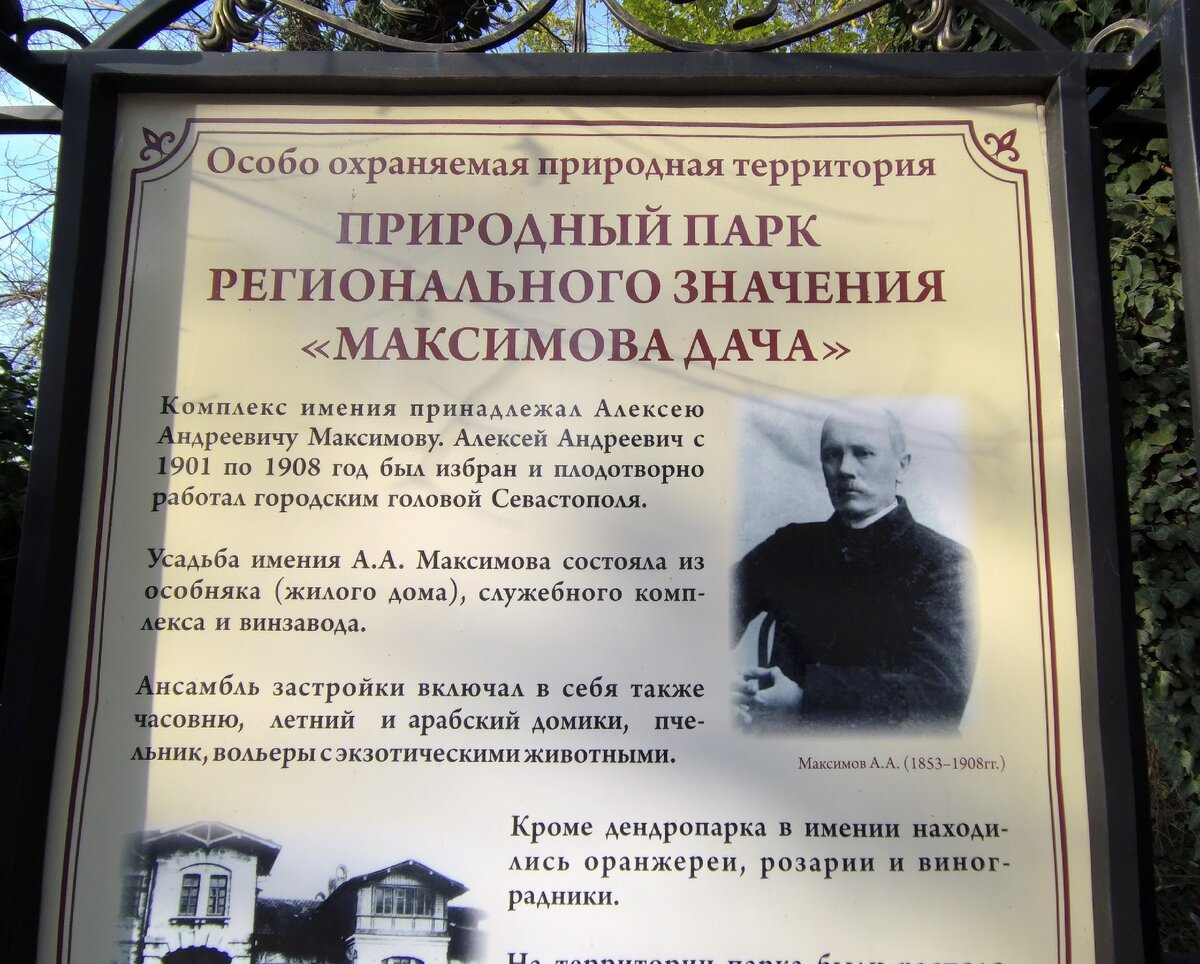 Анекдот место проклятое автоваз