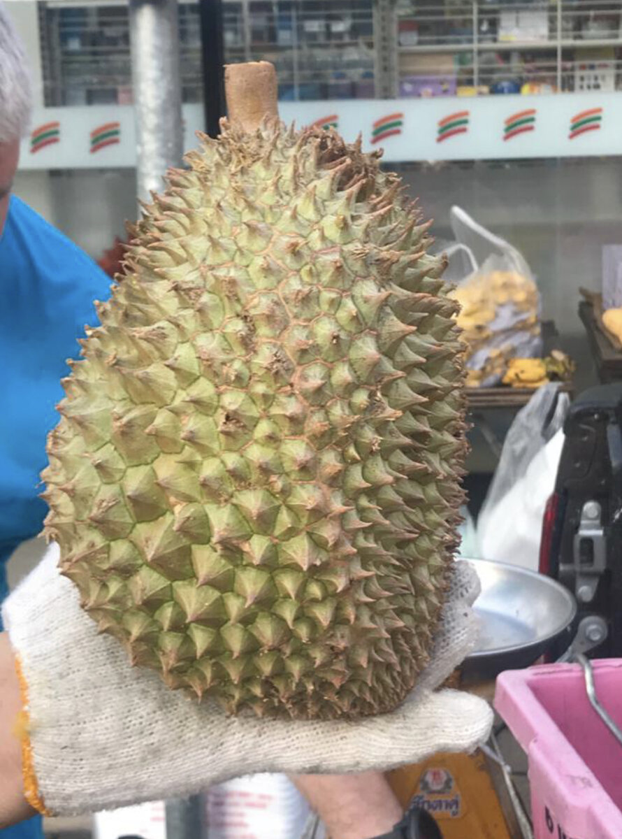 Вот он чудесный 