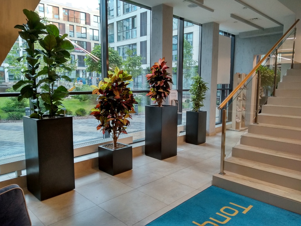 Клиника в Москве. Фото собственность автора.