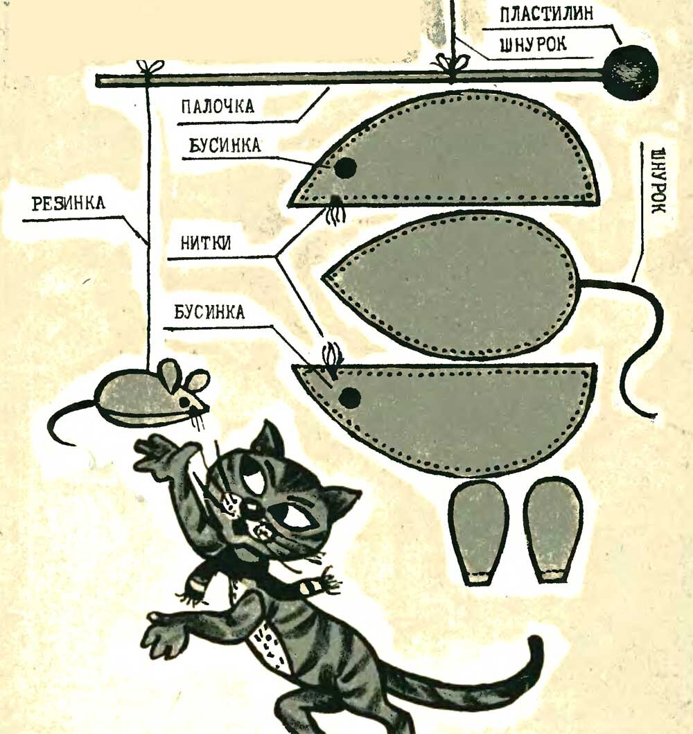 Фото из открытых источников.