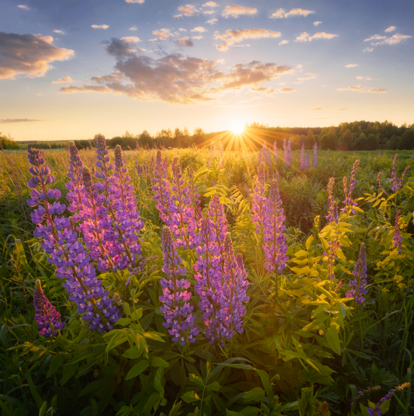Nikon D3x + Nikkor AF-S 14-24 f/2.8G (фокусное расстояние 16мм, f/14)
