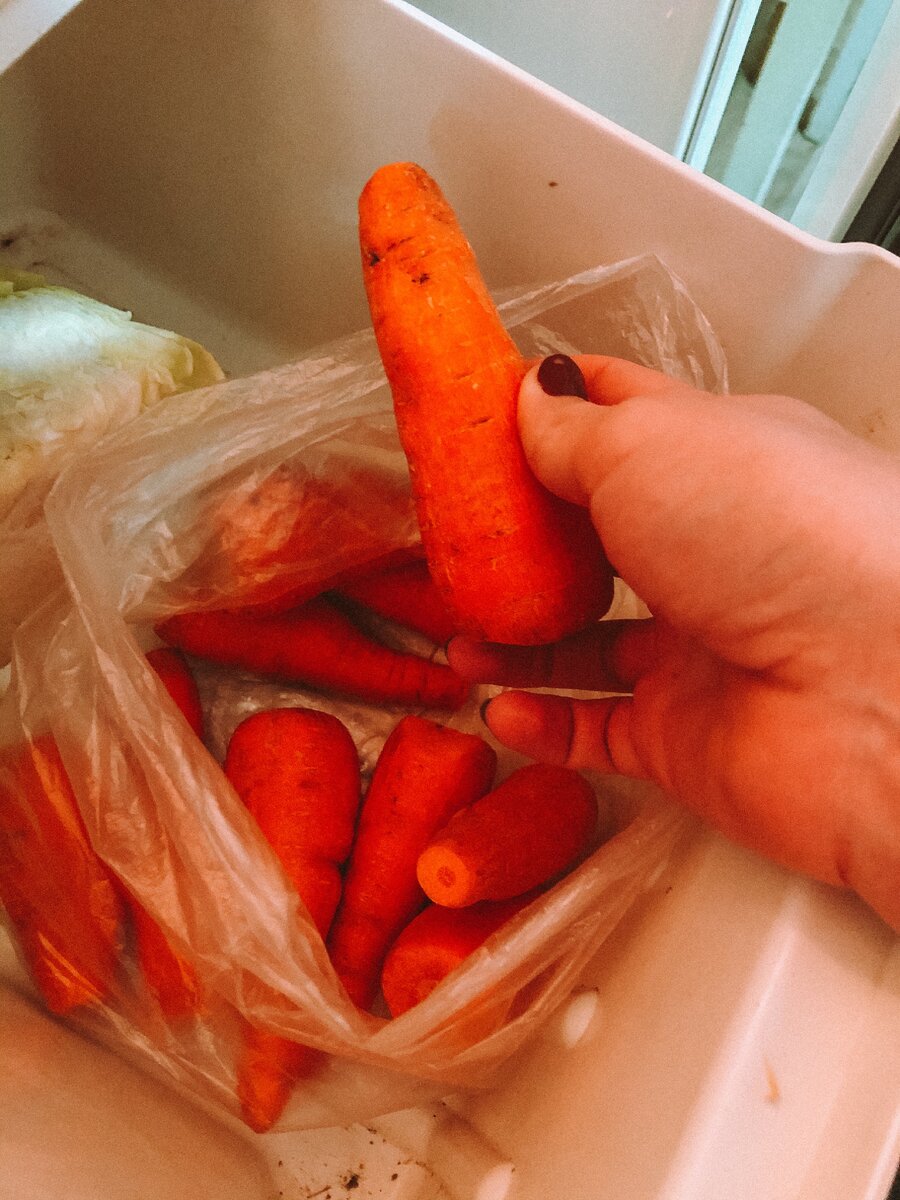 Мой тайник с морковкой ❤️