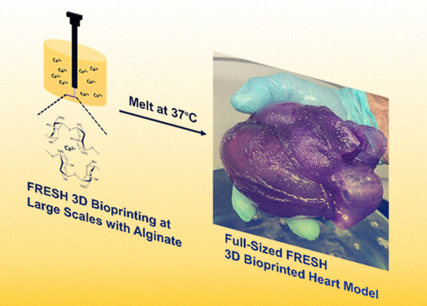 Чтобы создать макет им пришлось разработать собственную технологию печати