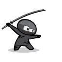 FREE PROMO NINJA