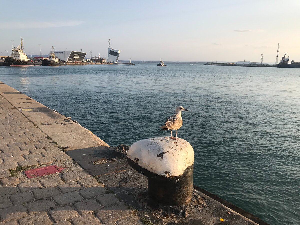 Порт Бургаса, Болгария