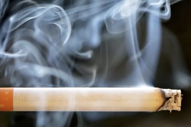 Фото из интернета 