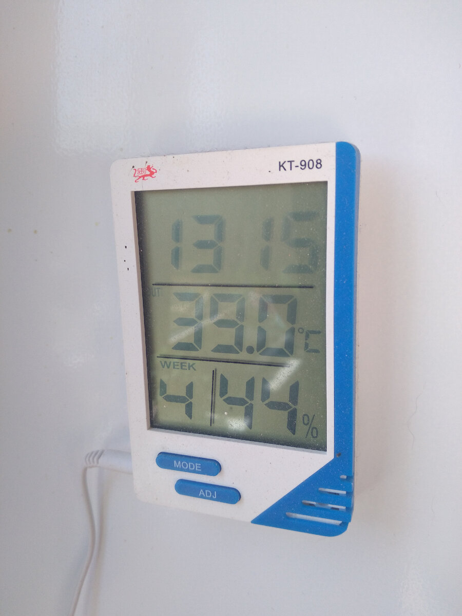 39 градусов  - неплохо для Урала