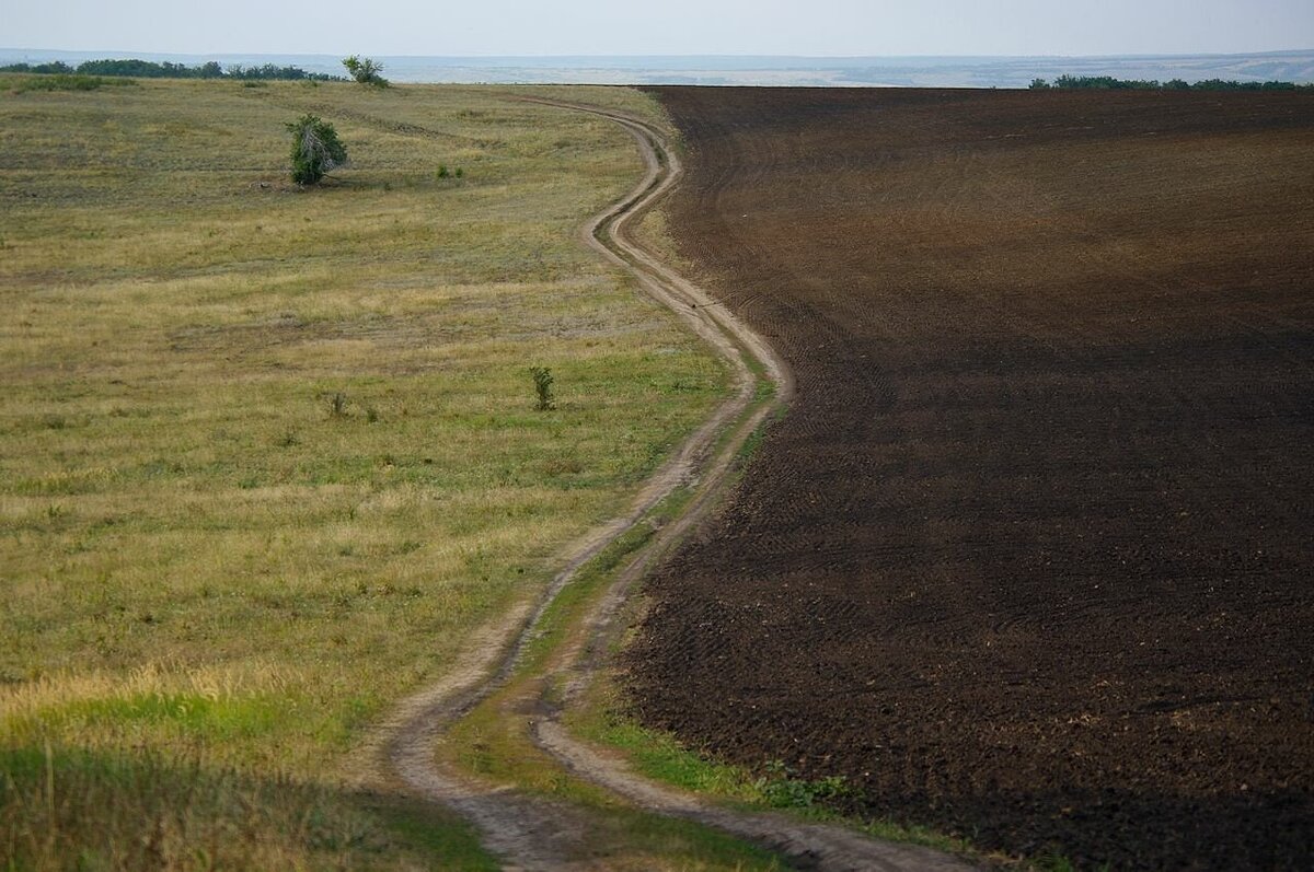 
Ваня,как всегда, ехал по делам. Он остановился, чтобы перекусить.  И не теряя времени, заодно, решил подлить стеклоомыватель в бачок. Открыл капот, отвинтил синюю крышку от бочка и уронил ее, конечно нечаянно, внутрь капота.
Не экстренная ситуация, но не приятная. Бачок остался без крышки.
Ваня не растерялся. Так как он находился на матушке-природе, Ванюшка схватил корягу, валявшуюся на траве, и давай ей ковыряться в капоте машины. И так засунет, и сяк. Ничего у него не получалось. Он даже не смог обнаружить местоположение этой крышечки в капоте. 
Тогда Ванюшке пришла другая идея в голову. Он медленно поехал, ища небольшую горку. Ваня решил, что под углом крышка обязательно вывалится из капота. Паренёк увидел съезд и он как раз шел вниз от основной дороги. Парнишка быстро поехал задним ходом вниз по горки, периодически резко тормозя, чтобы крышка, точно уж, наверняка, вылетела из капота машины. Ване на секунду показалось, что что-то синее промелькнуло. Он проехал ещё немного и остановил машину. Парень пошел вверх по склону, внимательно глядя на землю. И да, ему вовсе не показалось, то синее пятнышко, которое на мгновение мелькнуло на деревенском склоне, оказалось крышечкой от бачка.
Какой-нибудь немец, с потерей колпачка от бачка, тут же бы поехал в сервис. А у русского мужика голь на выдумки хитра! 