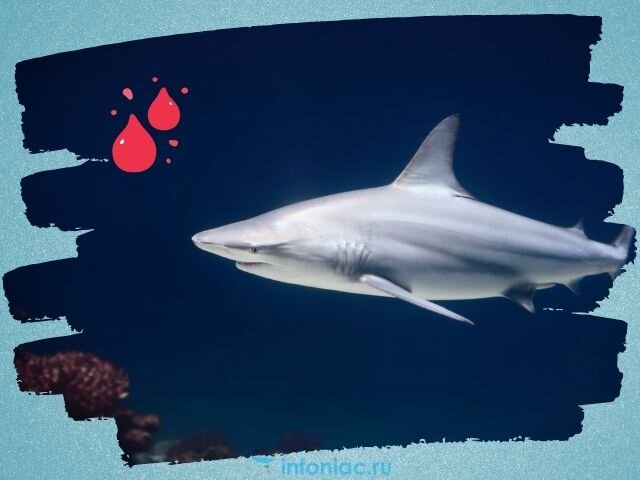 Getty Images Signature