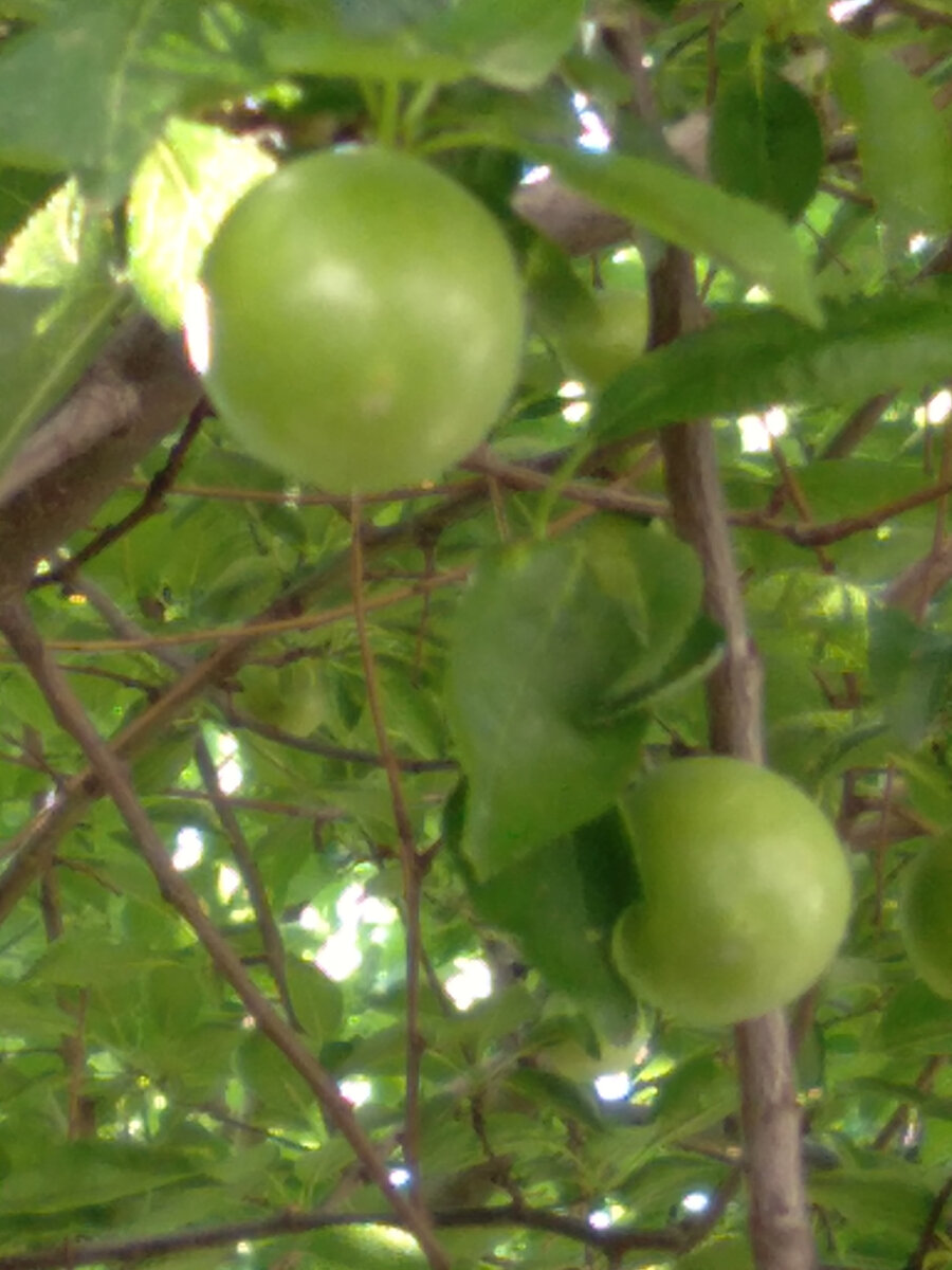 Личное фото