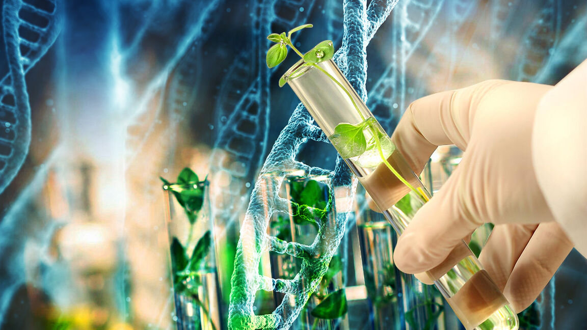 Генная инженерия / © Иллюстрация РИА Новости . Depositphotos / Sandralise, Depositphotos / zentilia