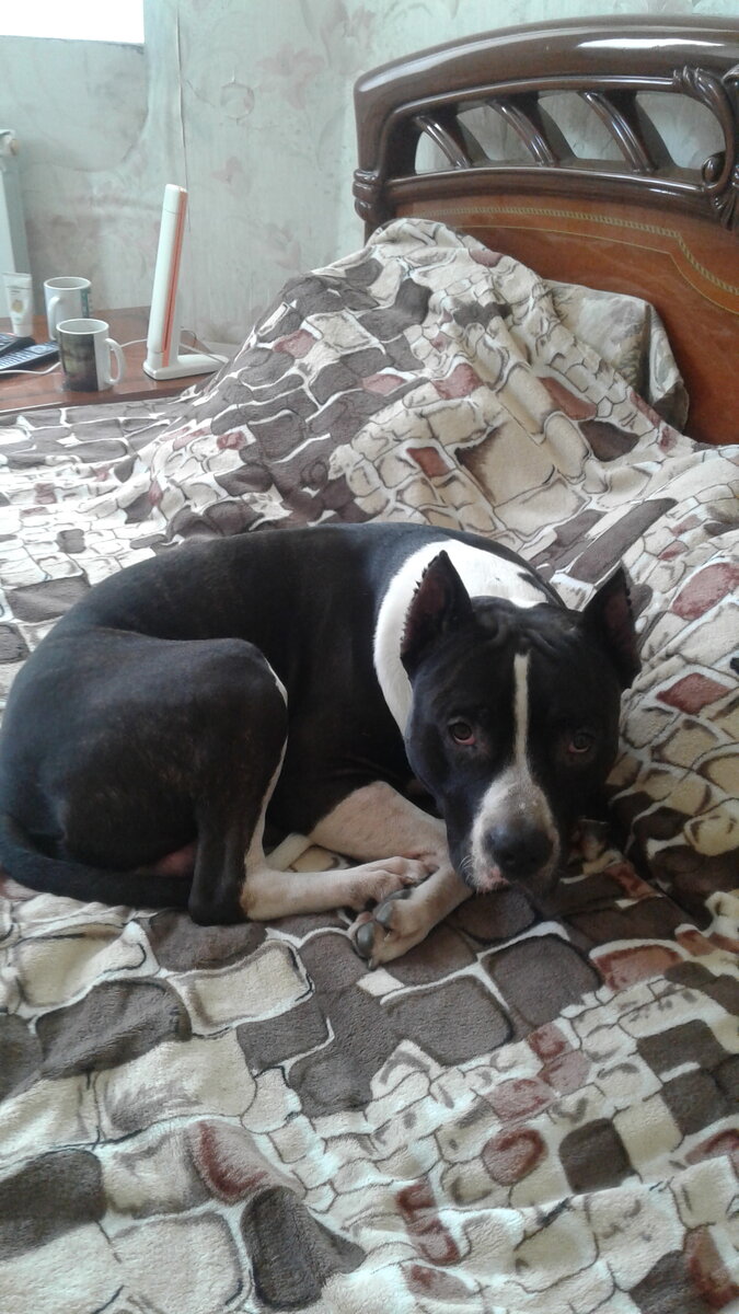 Думает,что мать сошла с ума))