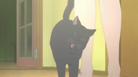 Новый момент:Мауси просит чтоб его погладили.