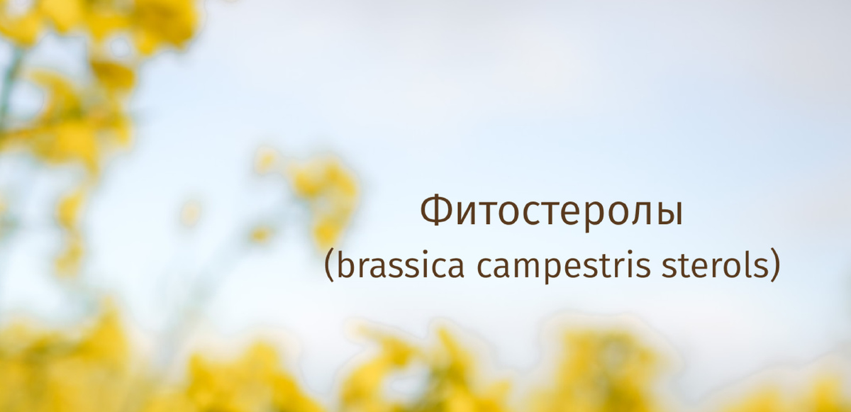 Фитостеролы восстанавливают поврежденный барьер кожи, а это значит, что компонент придется кстати тем, у кого поврежден гидролипидный защитный барьер.