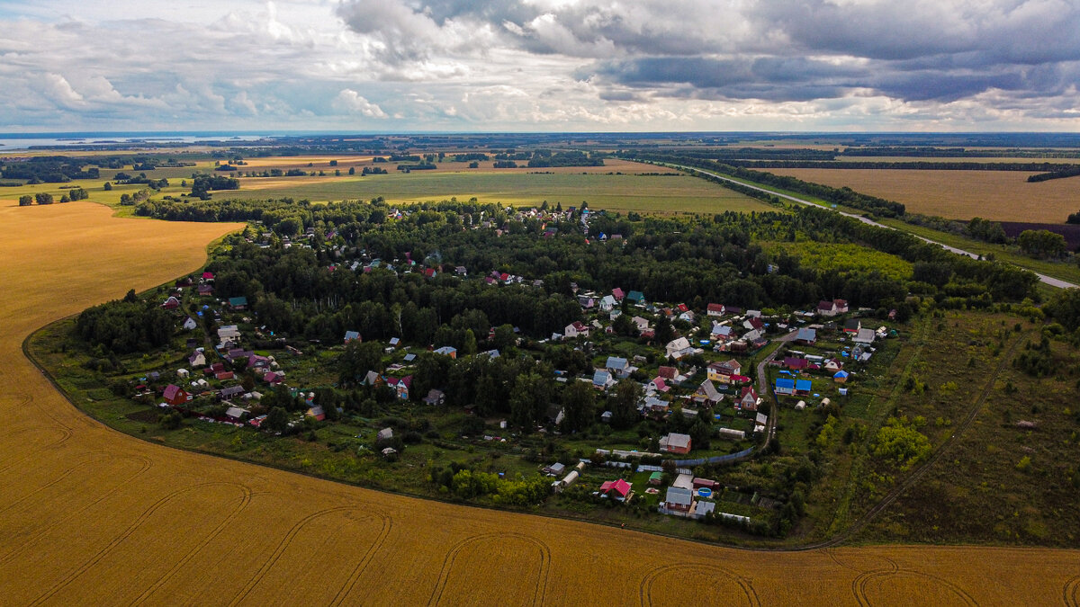 СНТ Ивушка Кострома. Абашево Новосибирская область.