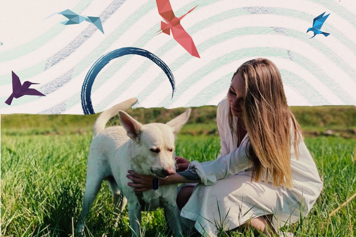 Изображения для иллюстрации взяты из сети Интернет