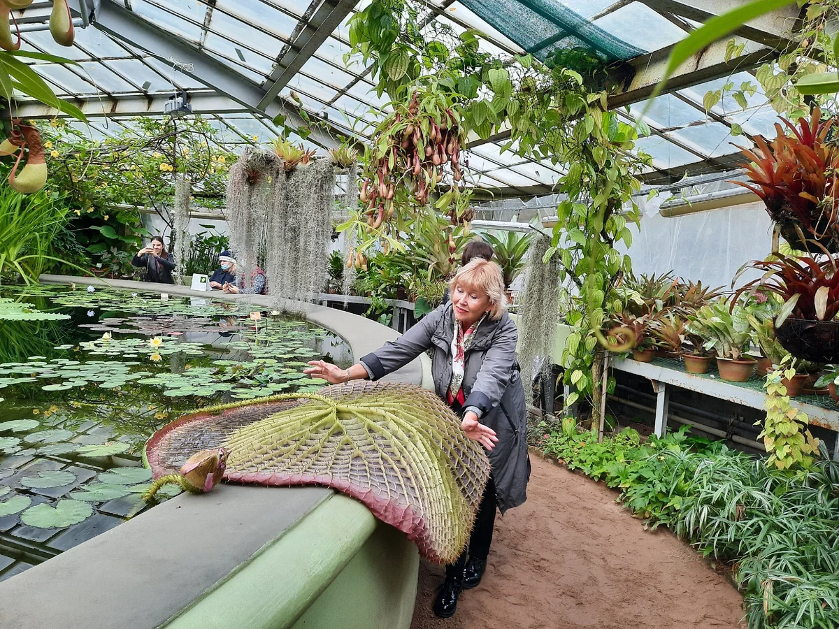 Район ботаники ставрополь. Жк ботаника каспийск. Ботаника ставрополь. Ботанический сад ставрополь фотосессия. Ботаника ставрополь.