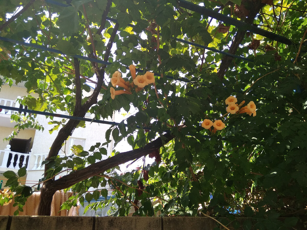 Фото с прогулки