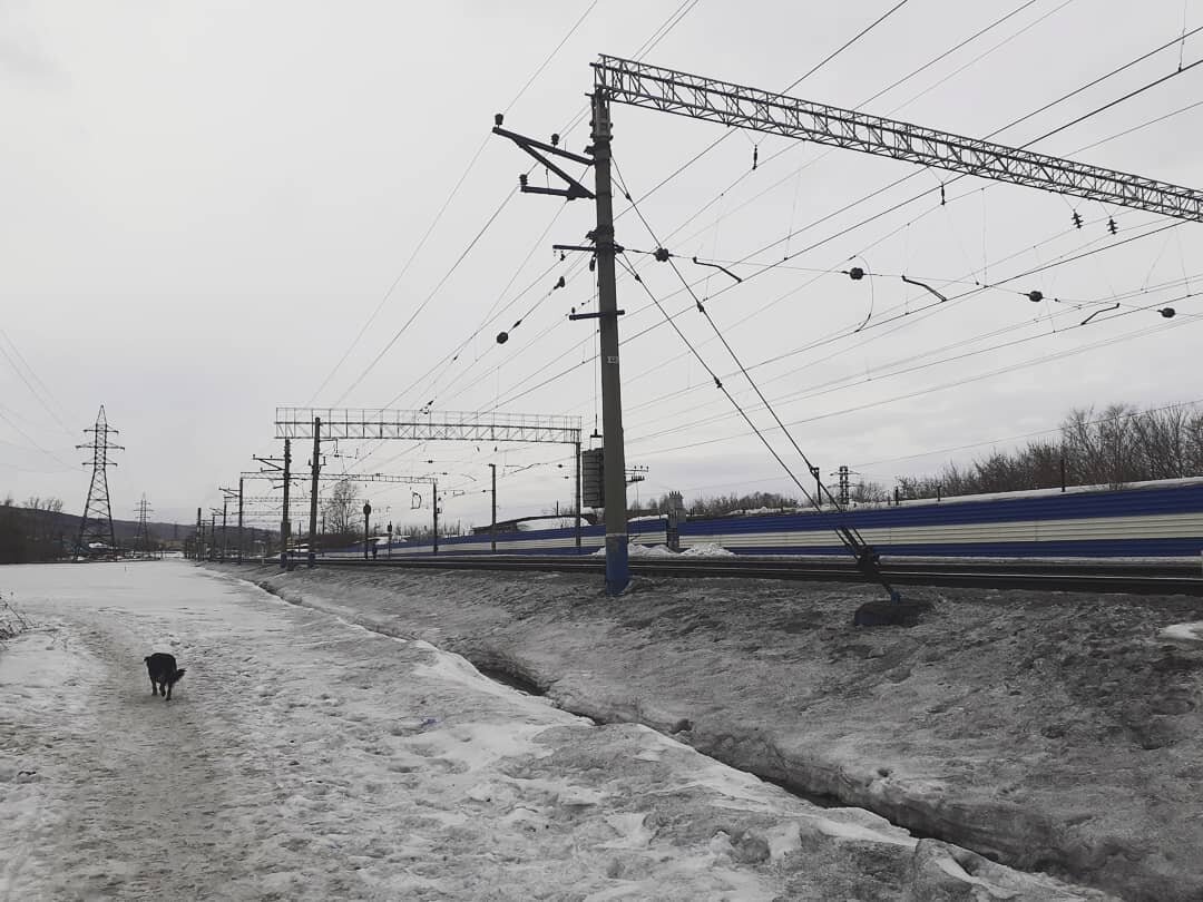 Фото с Инстаграм https://www.instagram.com/p/CMrGW25Mt9m