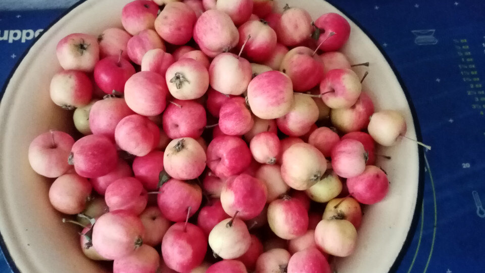 Ранетки для пюре