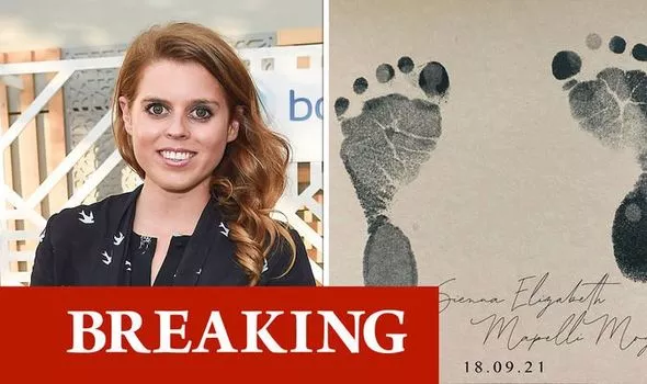 Фото из сети Интернет