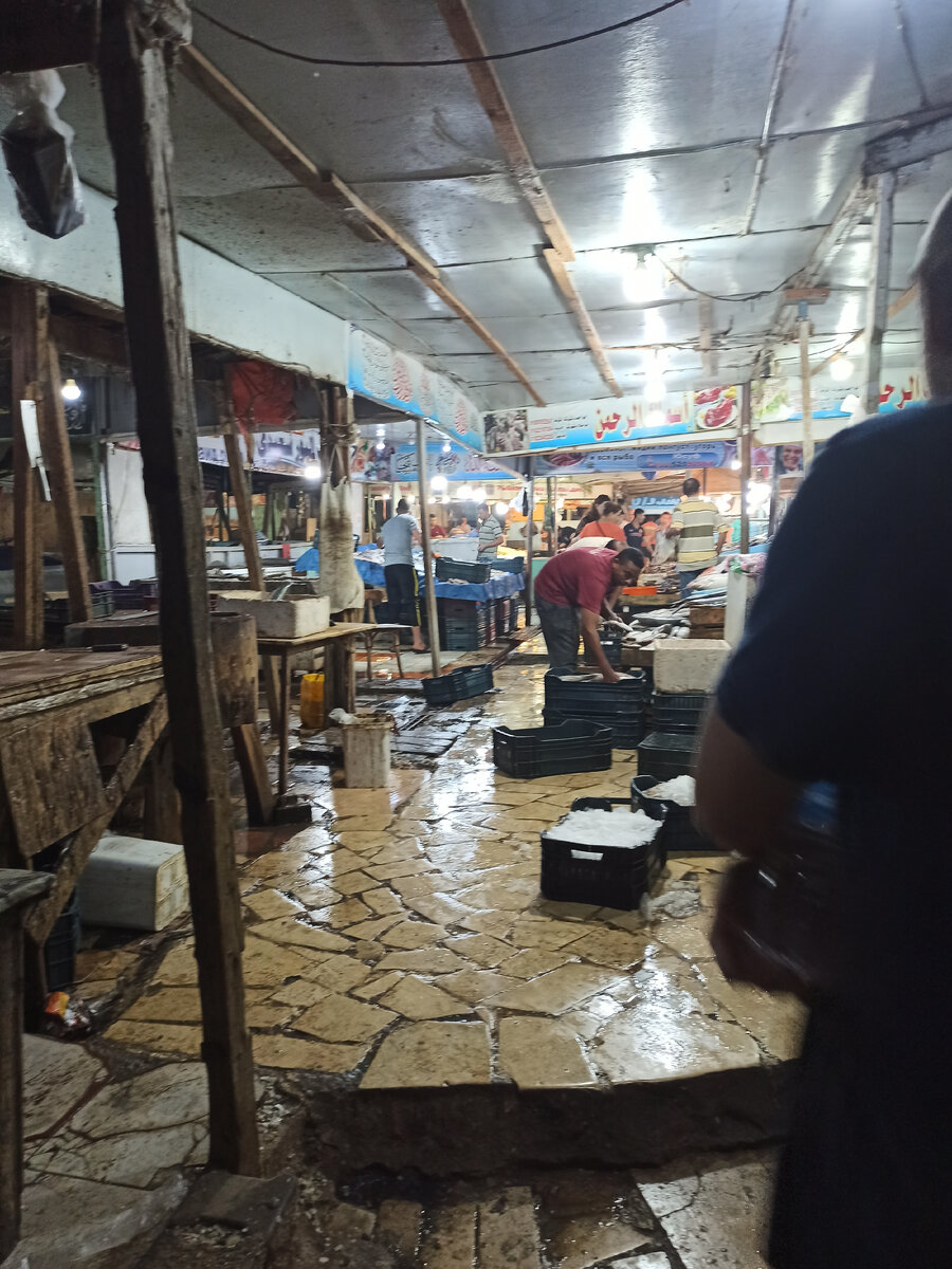 Примерно так все и выглядит. Рыба хранится на льду, который, тает с катастрофической скоростью. 